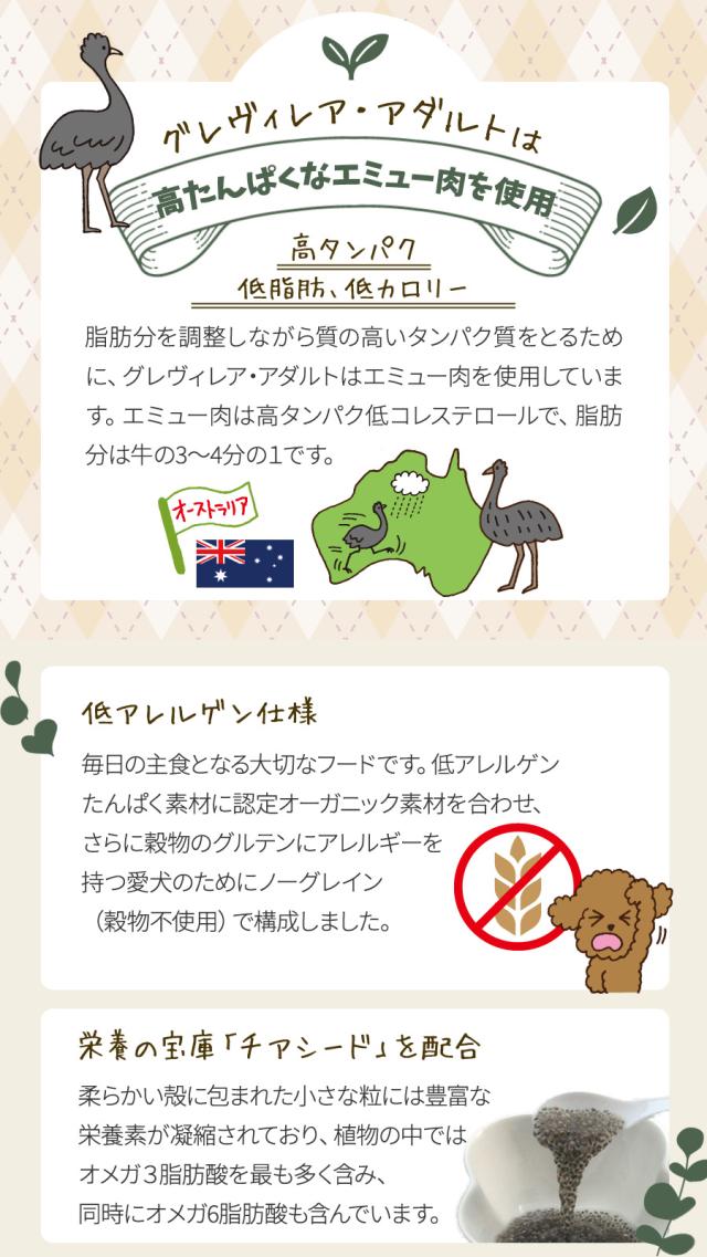 グレヴィレアアダルト