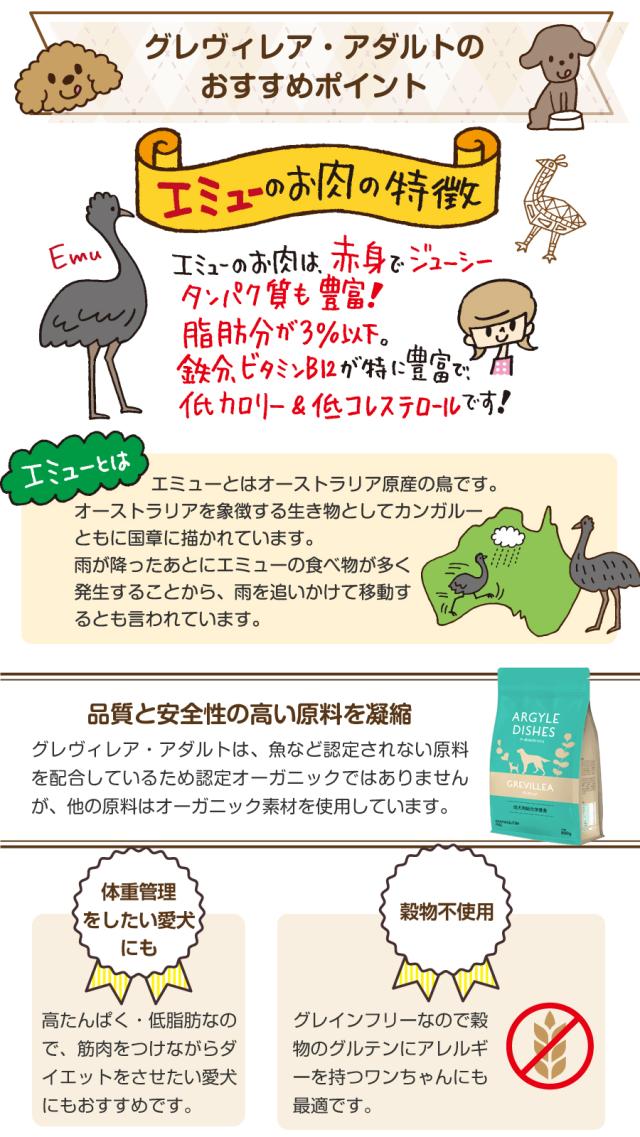 グレヴィレアアダルトおすすめポイント