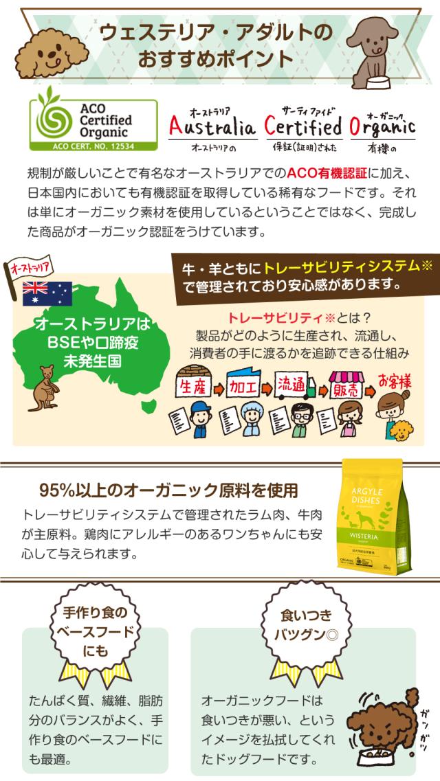 ウィステリアアダルトおすすめポイント