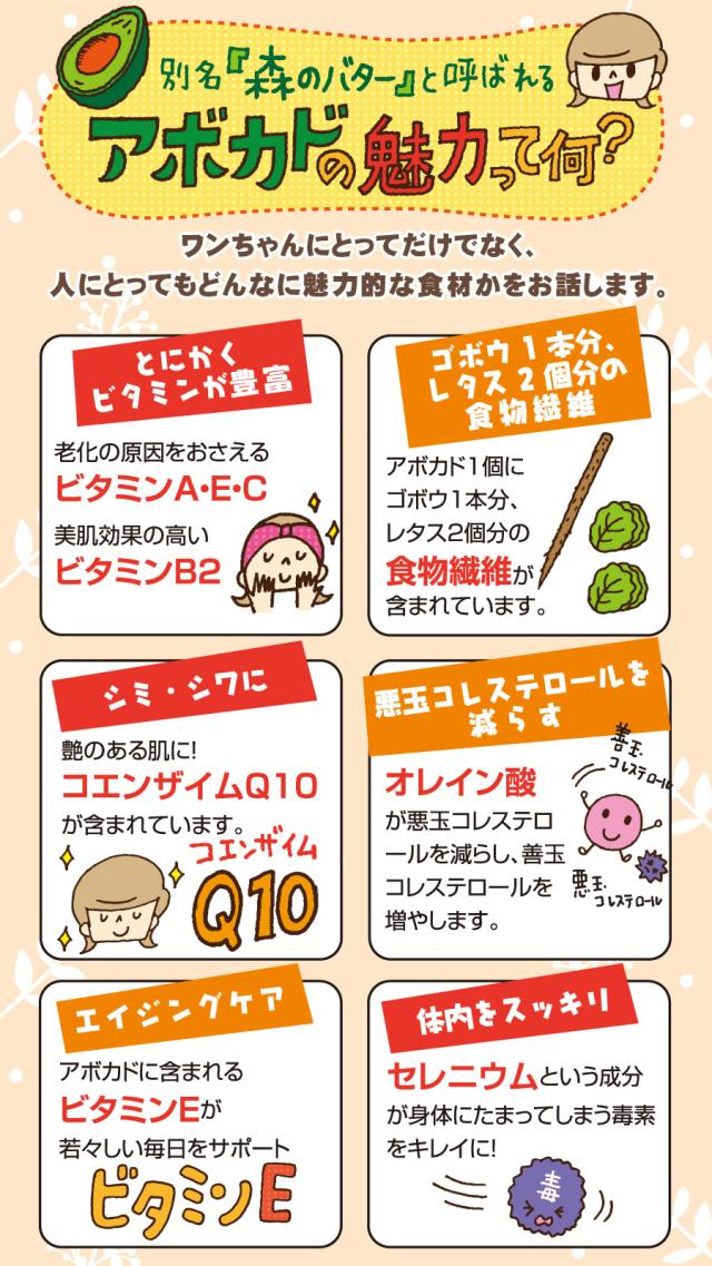 アボダームについて