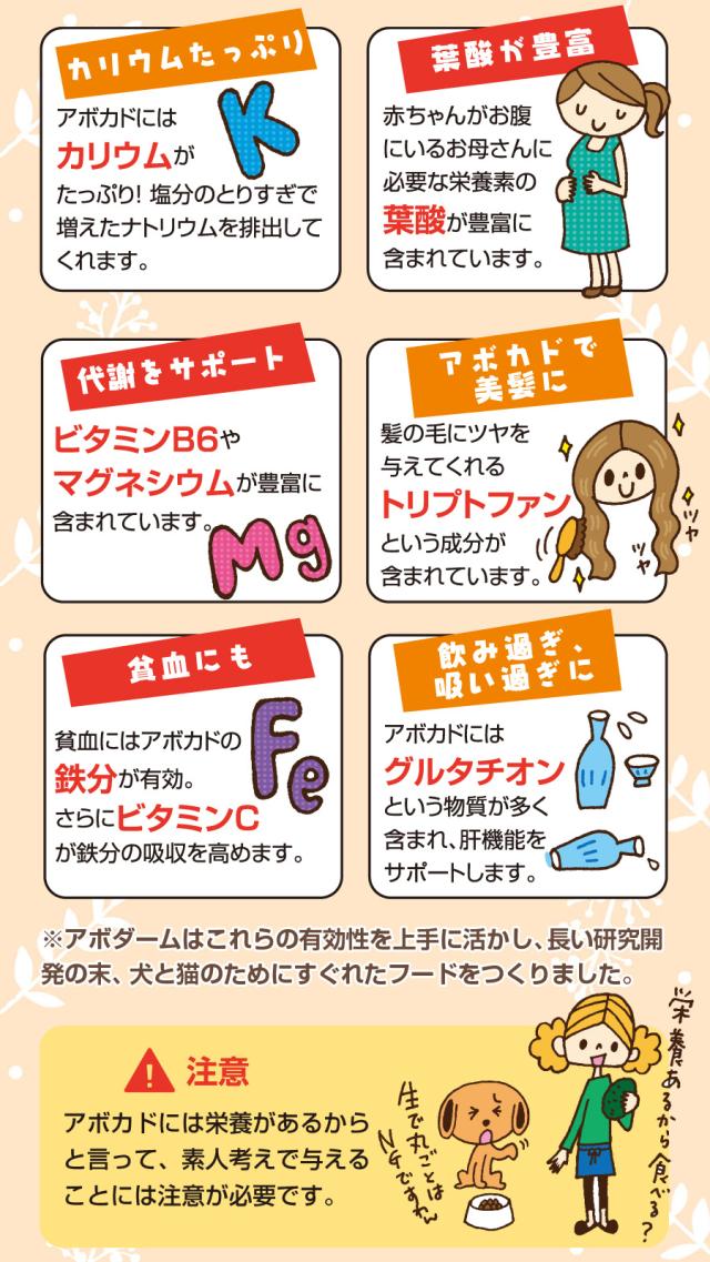 アボダームについて