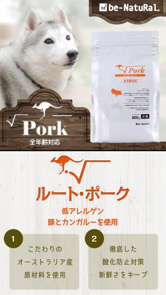ルート・ポーク