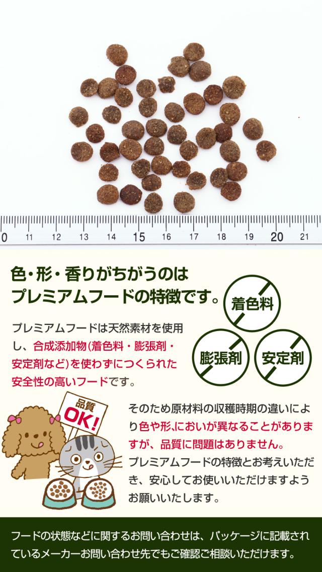 粒