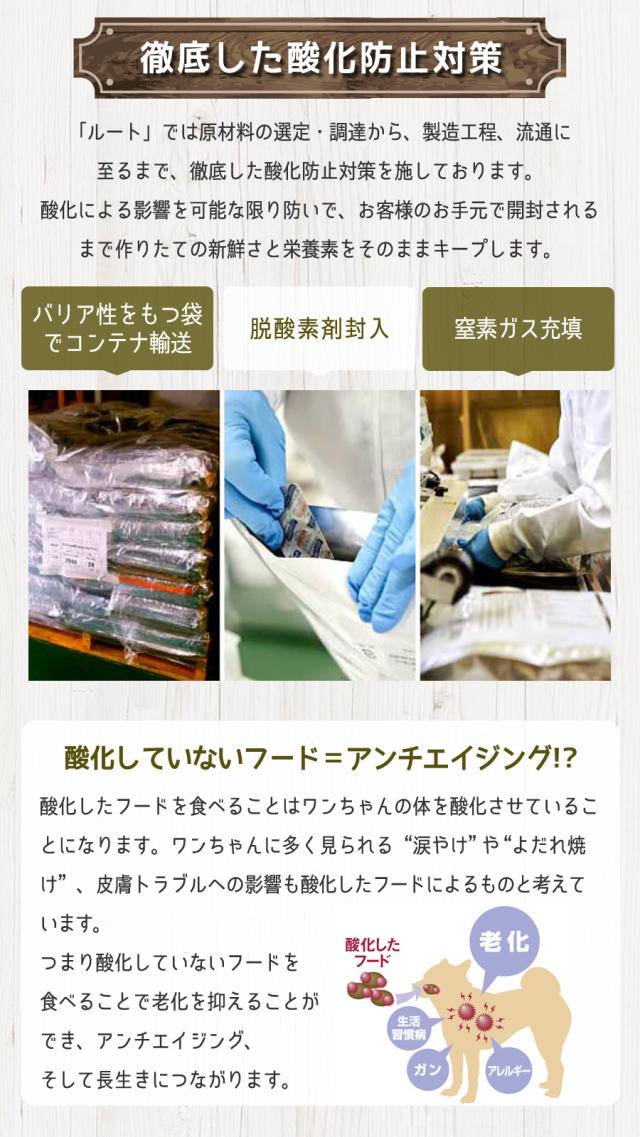 ルート酸化防止対策