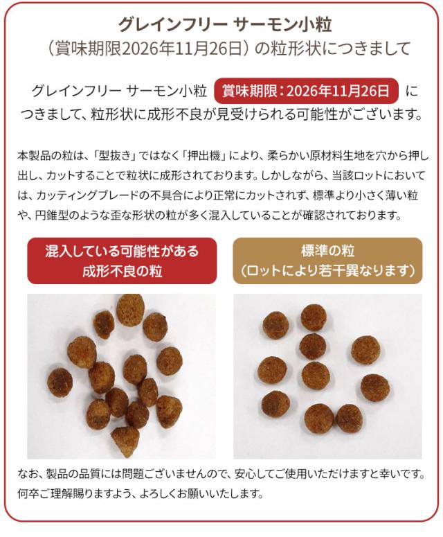 2025粒形状について