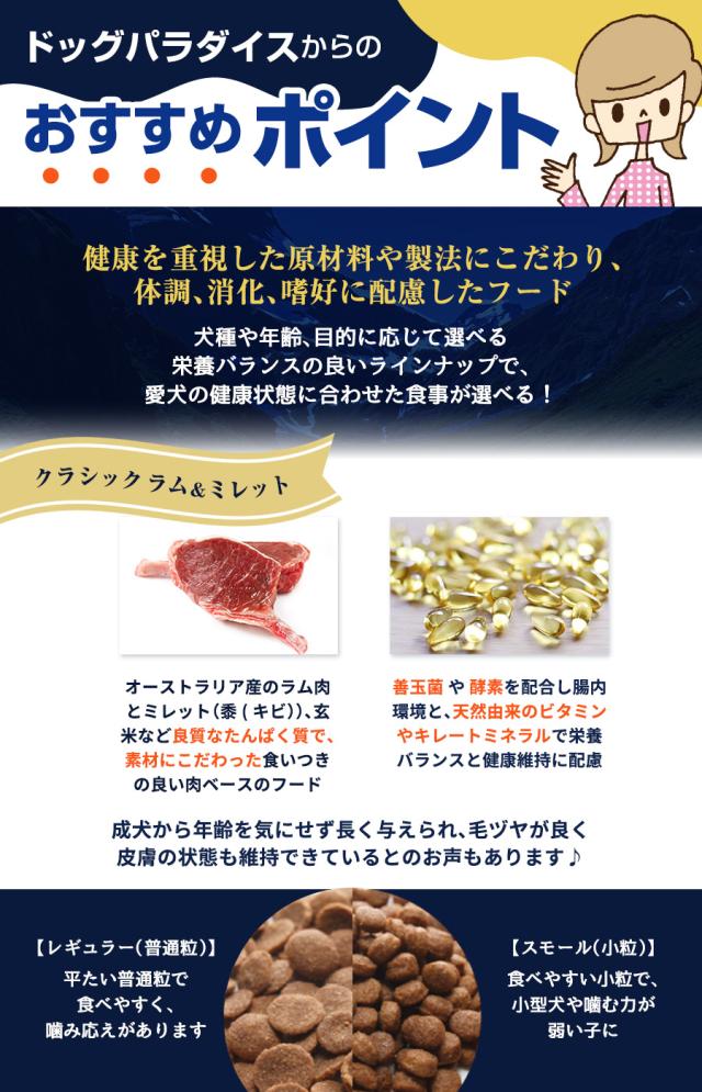 おすすめポイント