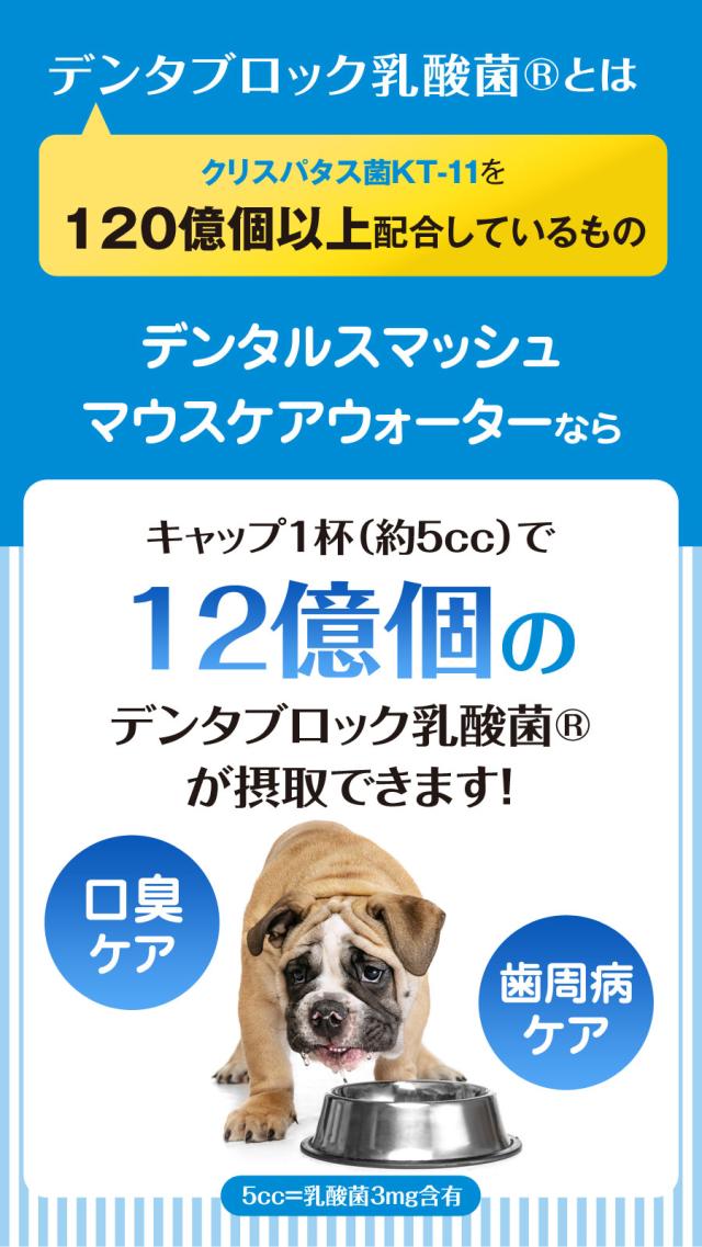 デンタルスマッシュ マウスケアウォーター見出し
