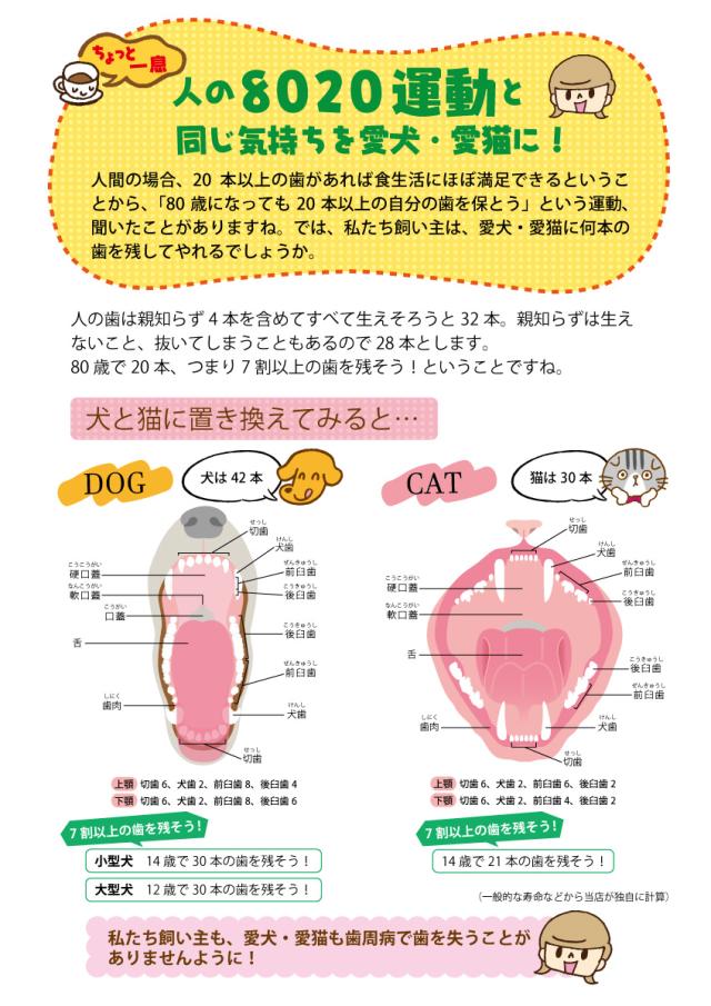 デンタルスマッシュ マウスケアウォーター ちょっと一息8020