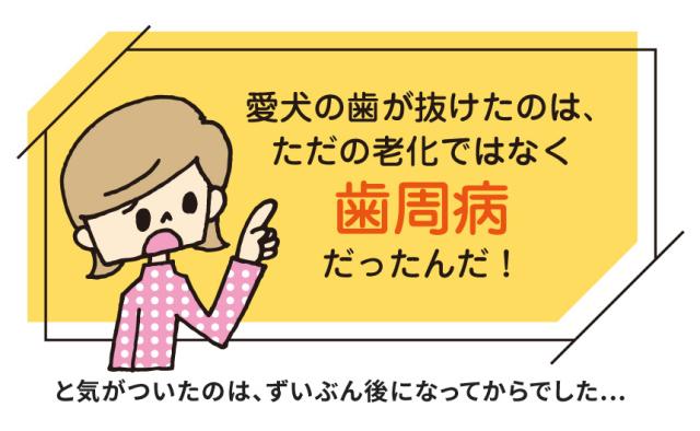 デンタルスマッシュ　トゥースペースト 歯周病だったんだ！