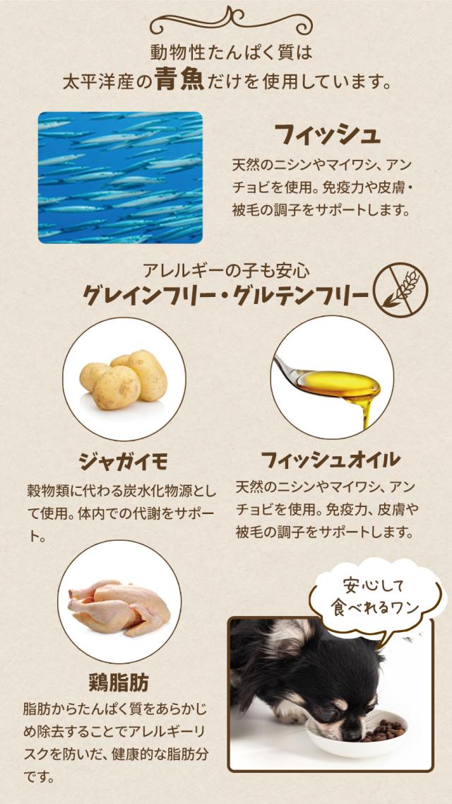 パシフィックオーシャンフィッシュ