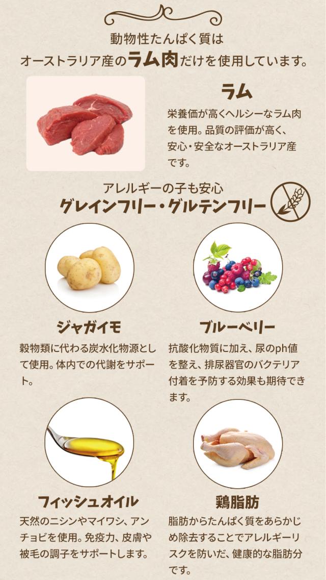 オーストラリアンラム小粒