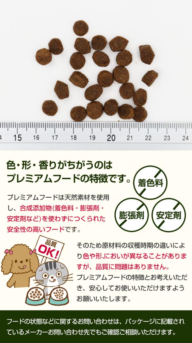 粒