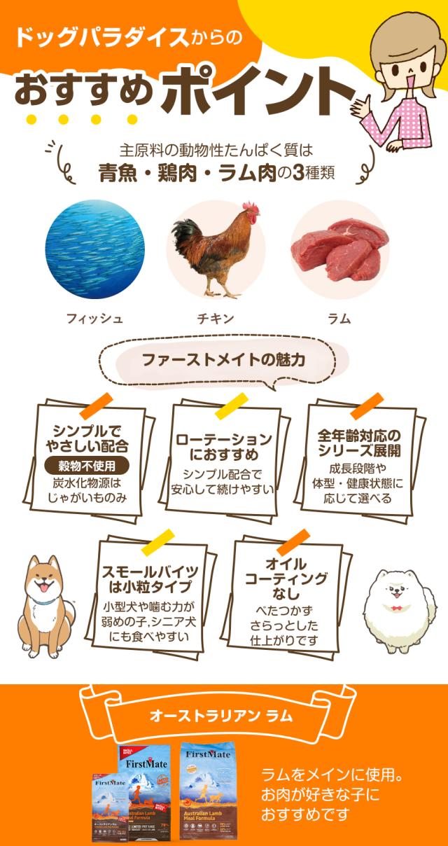 おすすめポイント