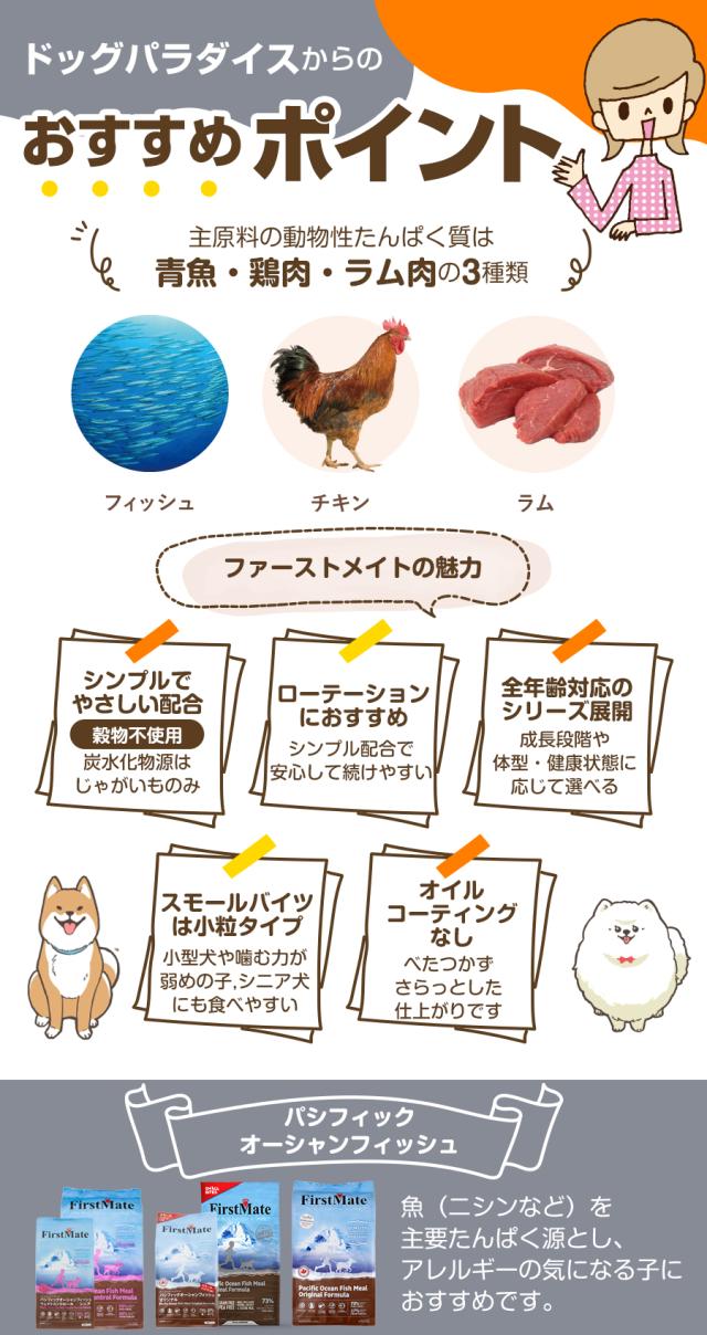 おすすめポイント