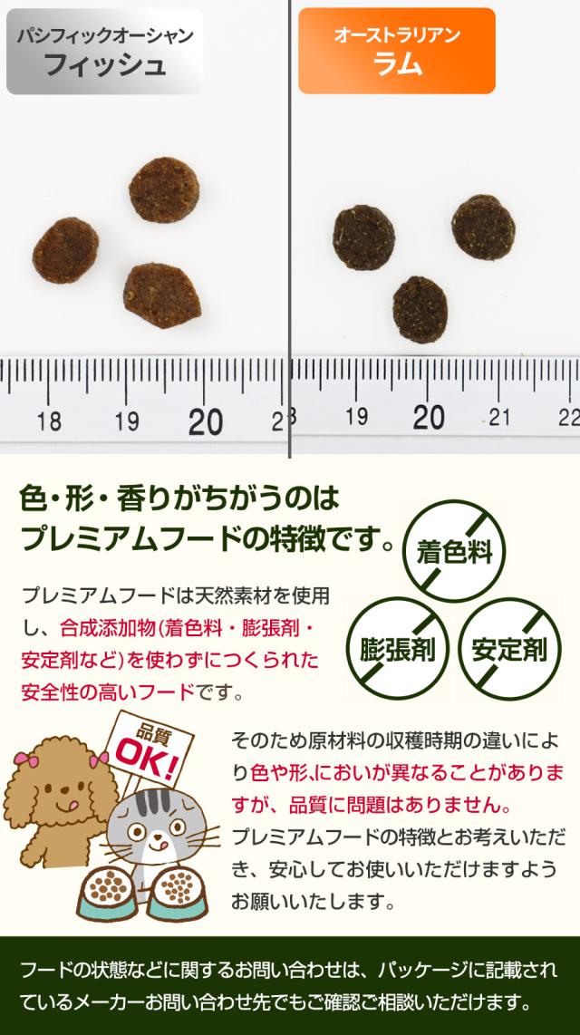 粒