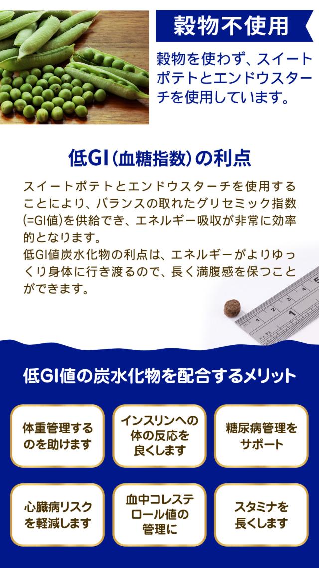 フィッシュ4ドッグ ファイネスト サーモン シニア 小粒