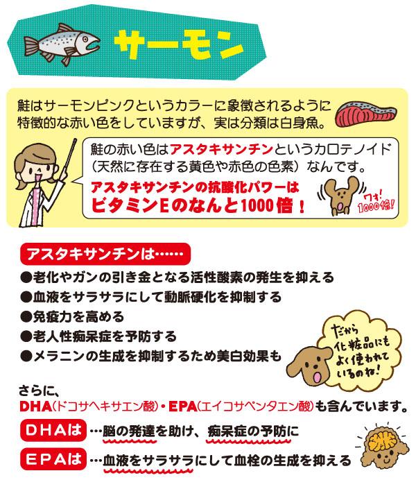 フィッシュ4ドッグ ファイネスト サーモンについて