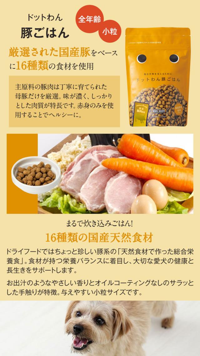ドットわん ドットわん 豚ごはん