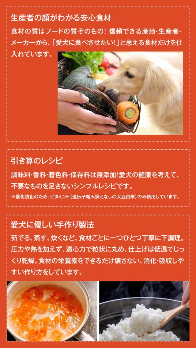 ドットわん ドットわんごはん