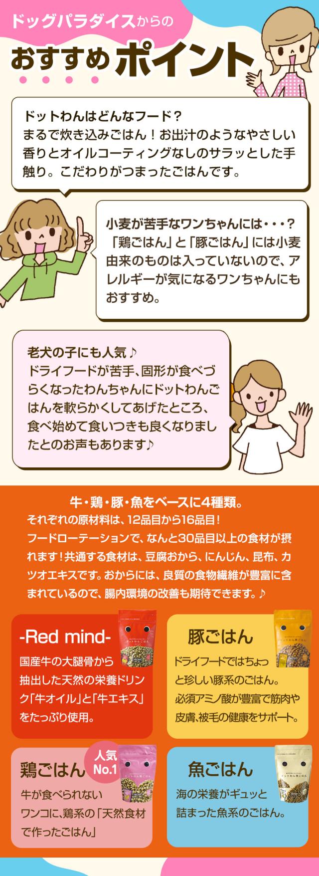 おすすめポイント