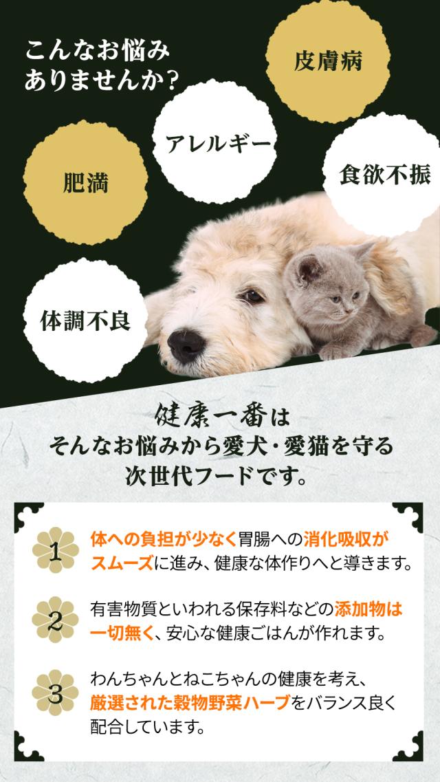 健康一番