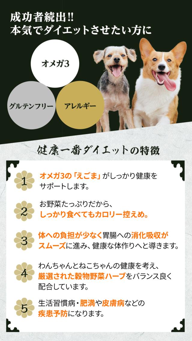 健康一番 ダイエット