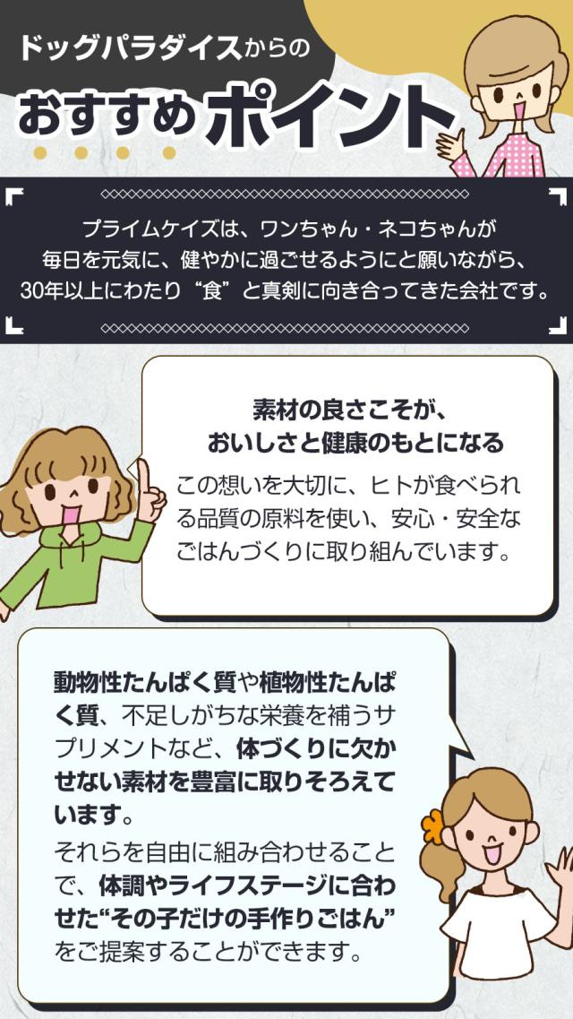 おすすめポイント