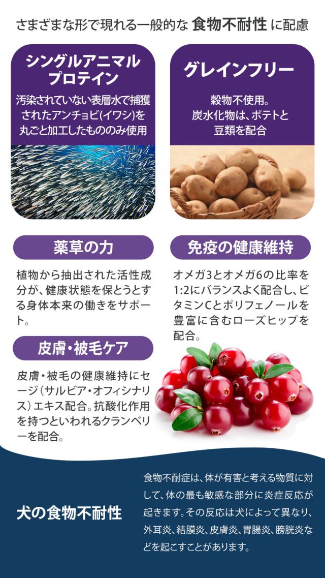 Daily Pro アダルトミニ ヘルシースキン フィッシュ