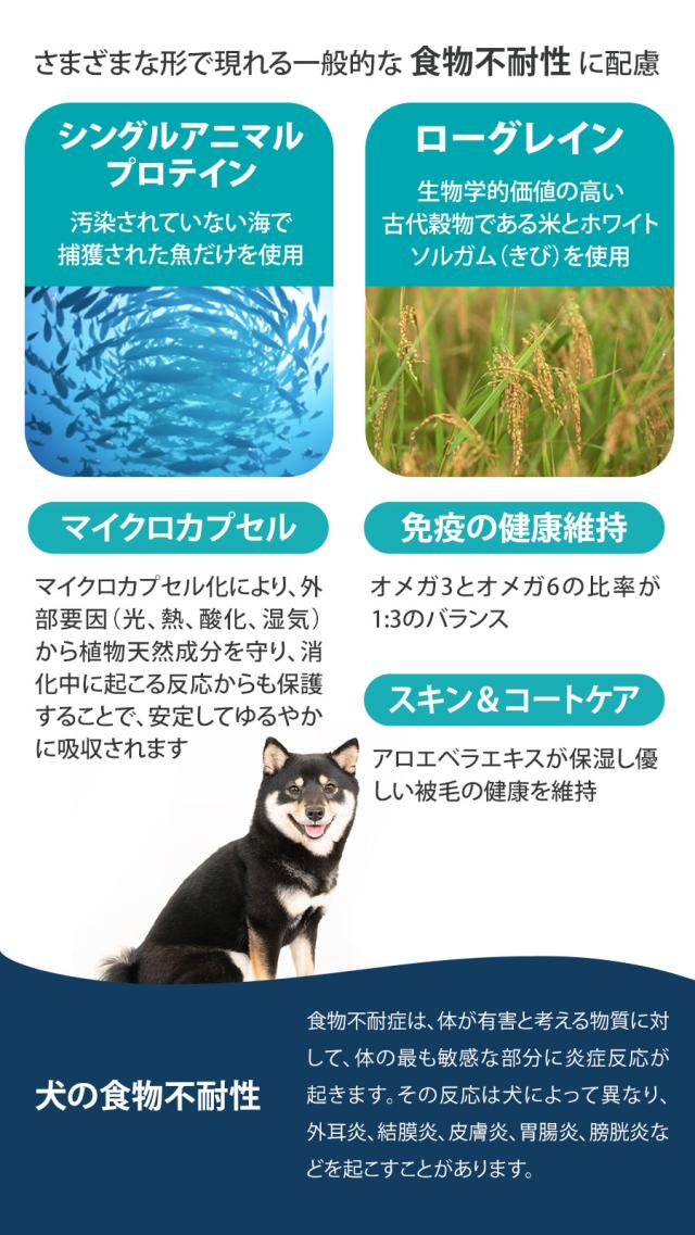 Daily Pro アダルトミニ フィッシュ