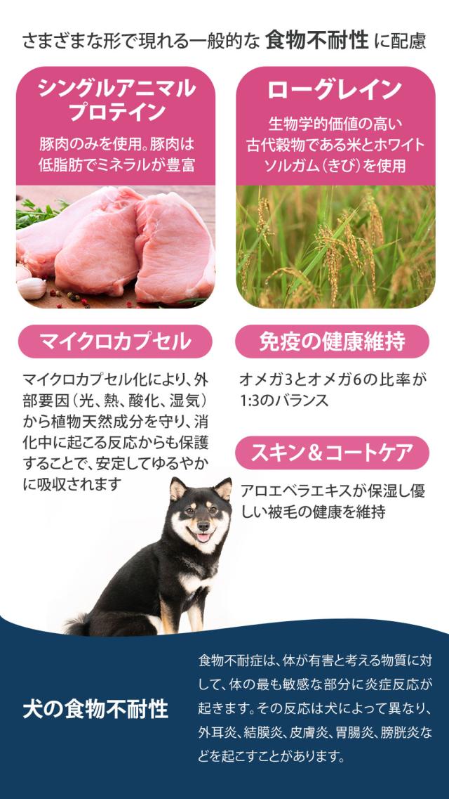 Daily Pro アダルトミニ ポーク