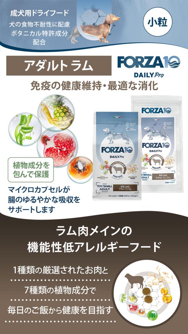 Daily Pro アダルトミニ ラム