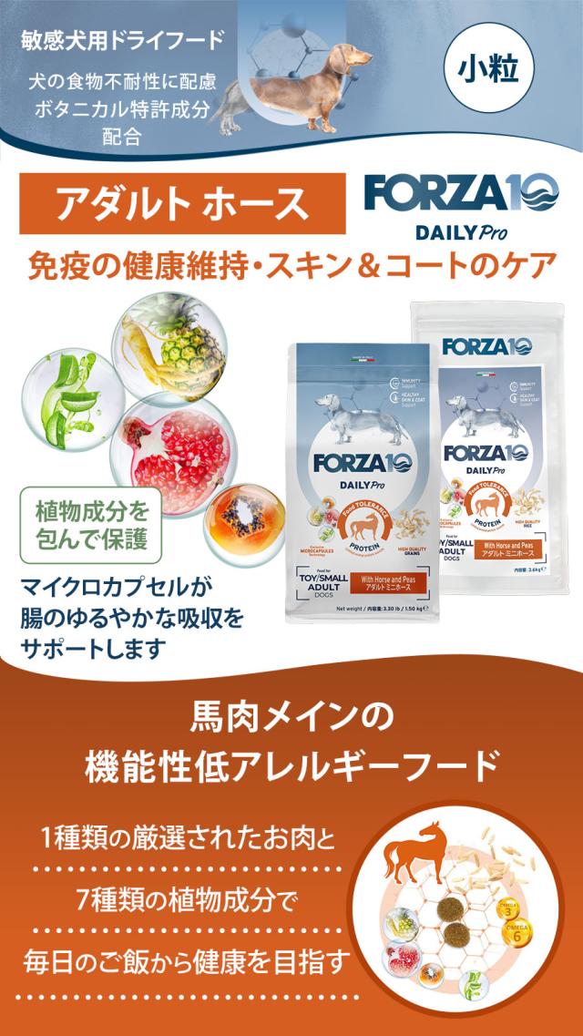 Daily Pro アダルトミニ ホース