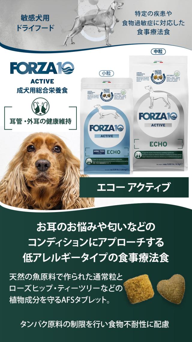 エコーアクティブ