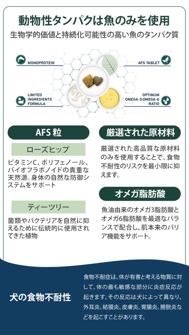 エコーアクティブ