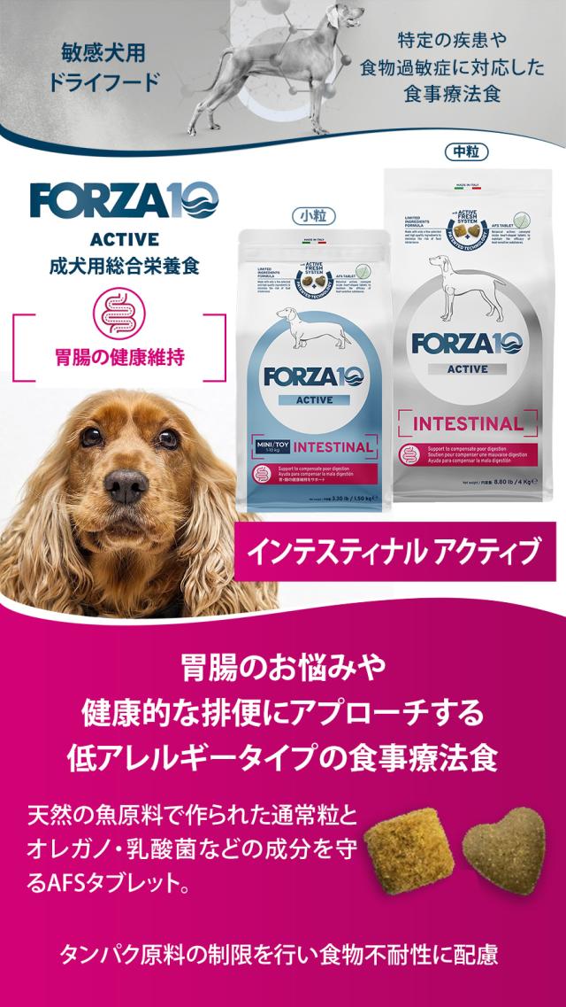 インテスティナルアクティブ