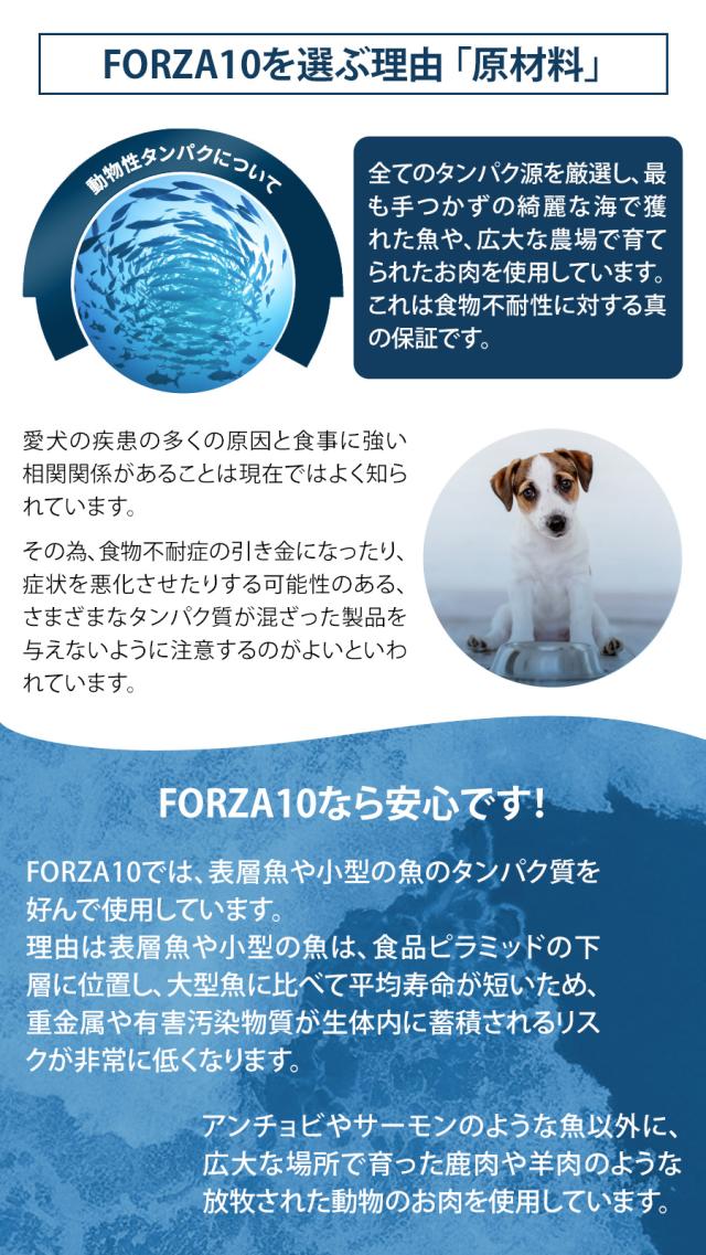フォルツァ10