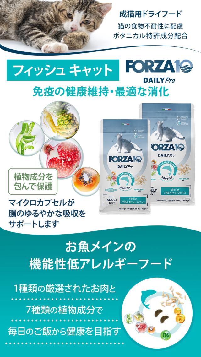 Daily Pro アダルトフィッシュ キャット