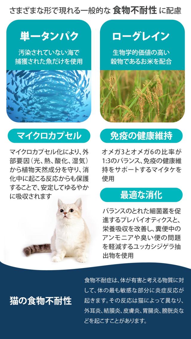 Daily Pro アダルトフィッシュ キャット
