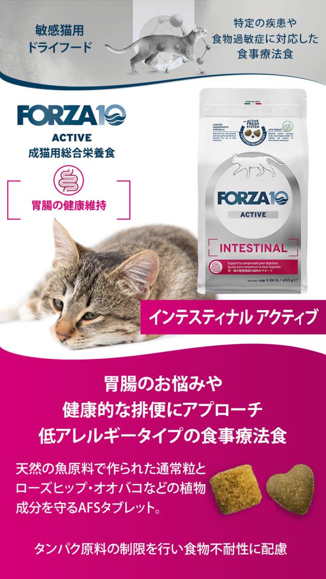 インテスティナルアクティブ