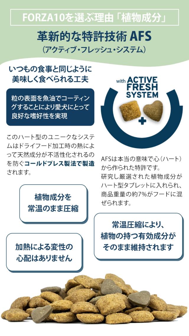 フォルツァ10AFS