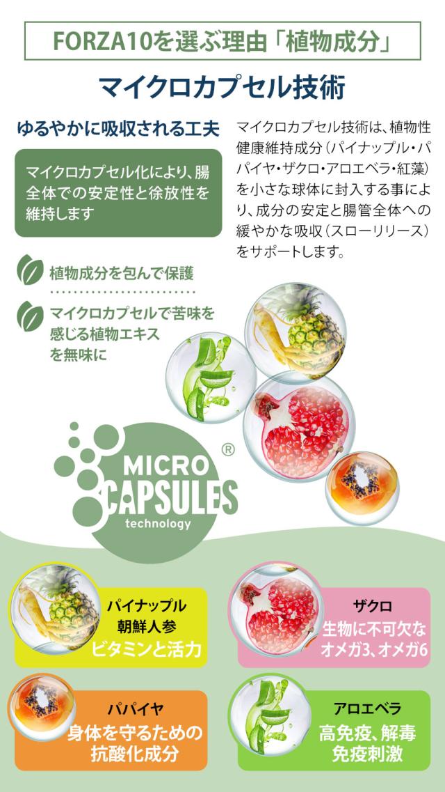 フォルツァ10MCS