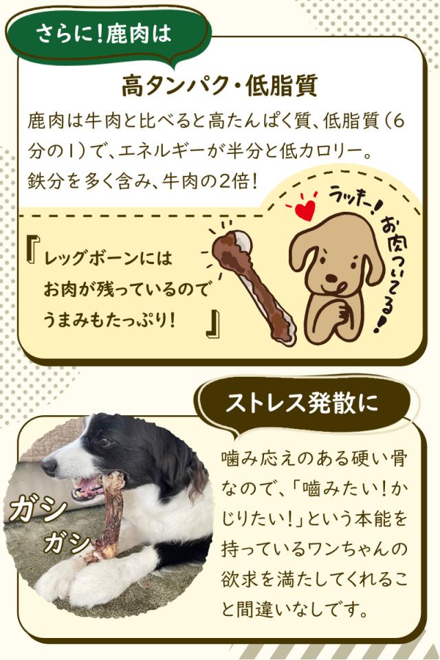 国産野生鹿レッグボーン