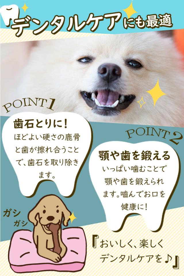 国産野生鹿レッグボーン