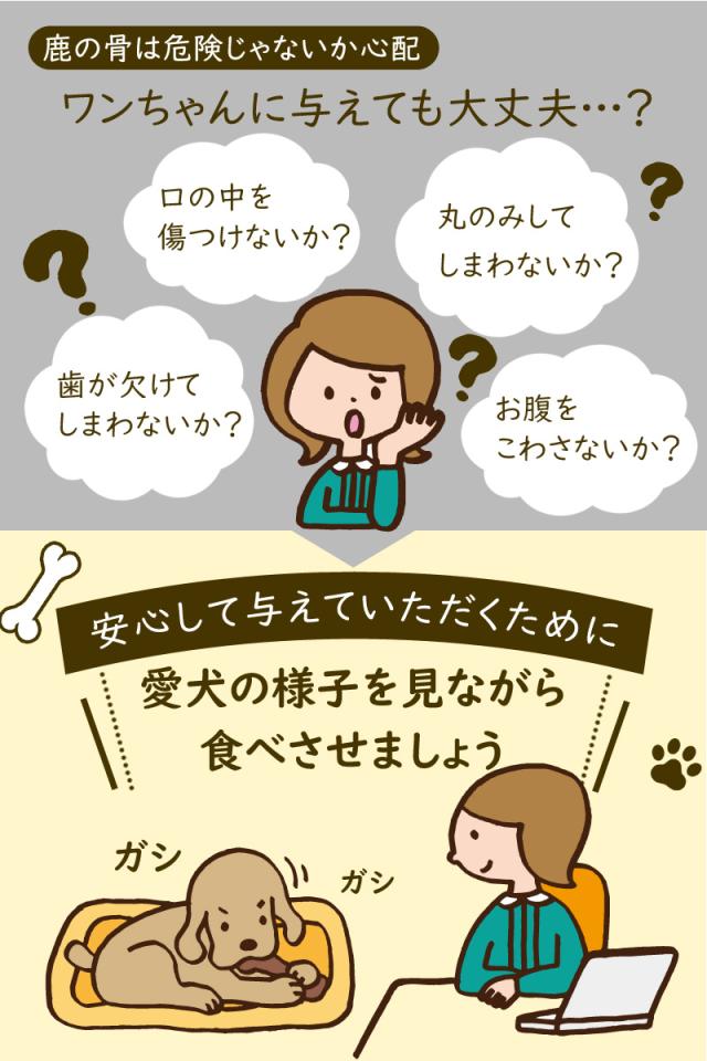 国産野生鹿レッグボーン