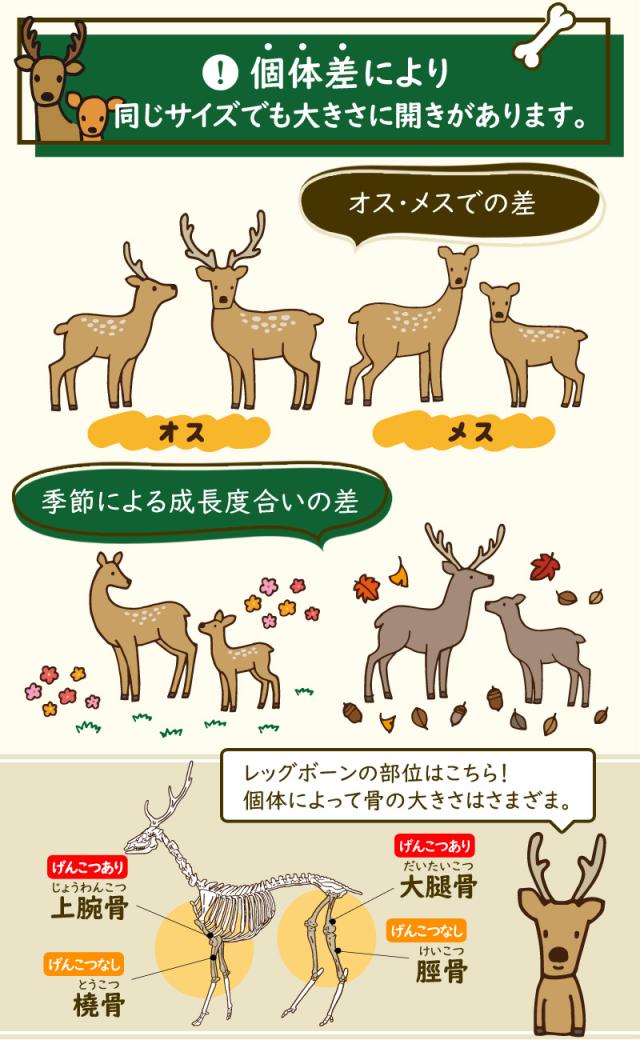 国産野生鹿レッグボーン