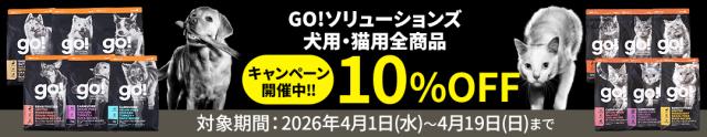 2026キャンペーン犬