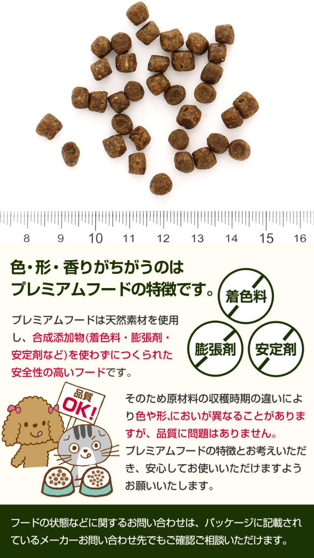 GO! ゴー ソリューションズ カーニボア サーモン