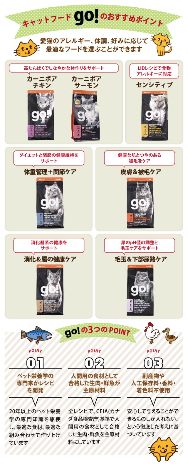 GO! ゴー ソリューションズ おすすめ