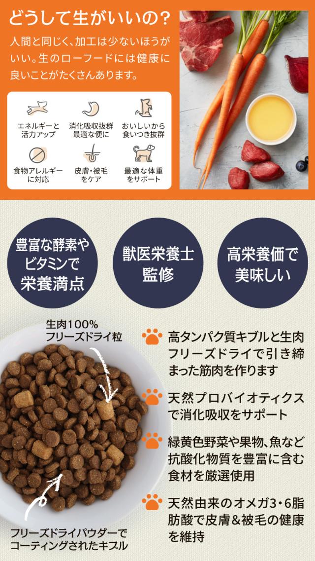 インスティンクト Raw Boost リアルチキン 生肉フリーズドライ