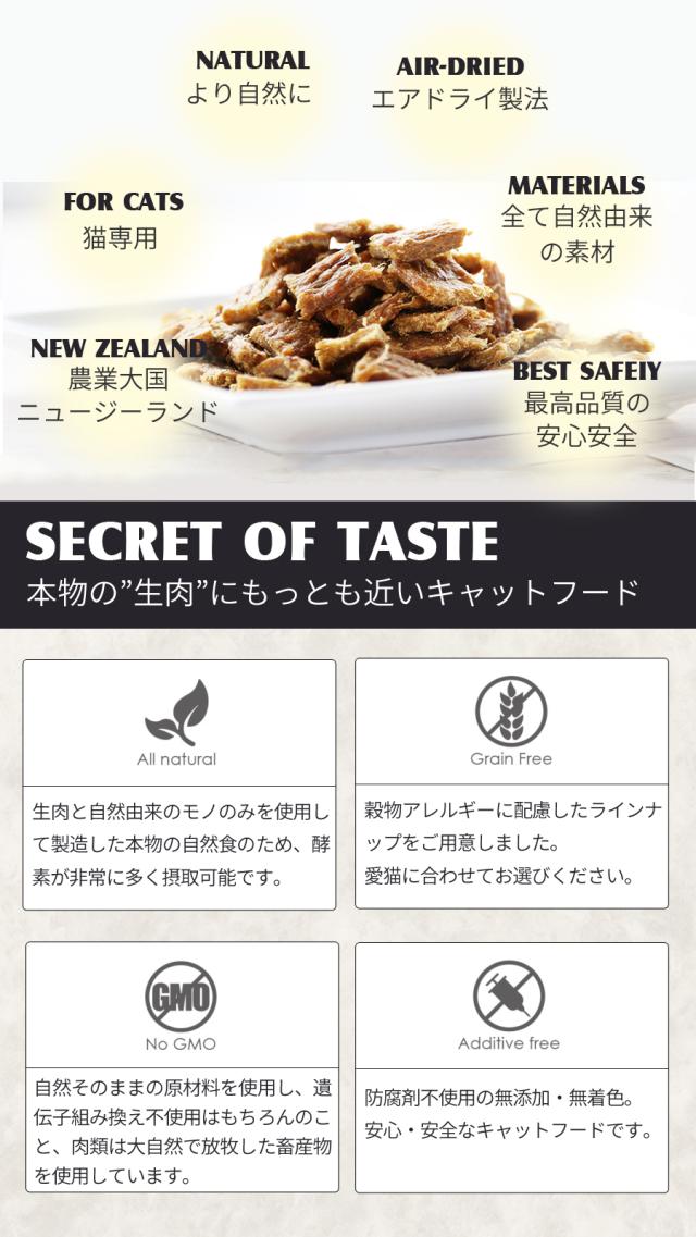 iti　キャット